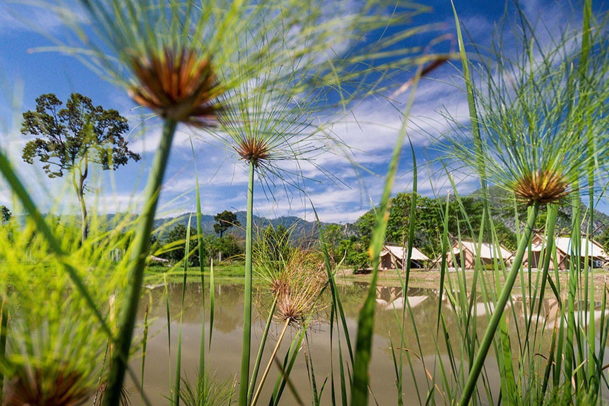 Lala Mukha Tented Resort Khao Yai Mu Si Exteriör bild